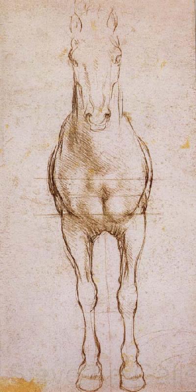 LEONARDO da Vinci Study of the proportion of horses France oil painting art